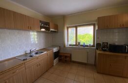 Vila deosebită 260mp utili, 800mp teren - Bucium, Iași