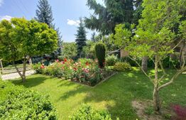 Vila deosebită 260mp utili, 800mp teren - Bucium, Iași