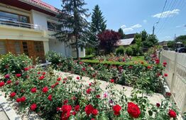 Vila deosebită 260mp utili, 800mp teren - Bucium, Iași