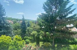 Vila deosebită 260mp utili, 800mp teren - Bucium, Iași