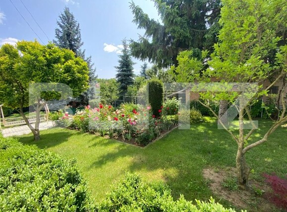 Casa de vânzare 9 camere Bucium - 172248CV | BLITZ Iași | Poza10