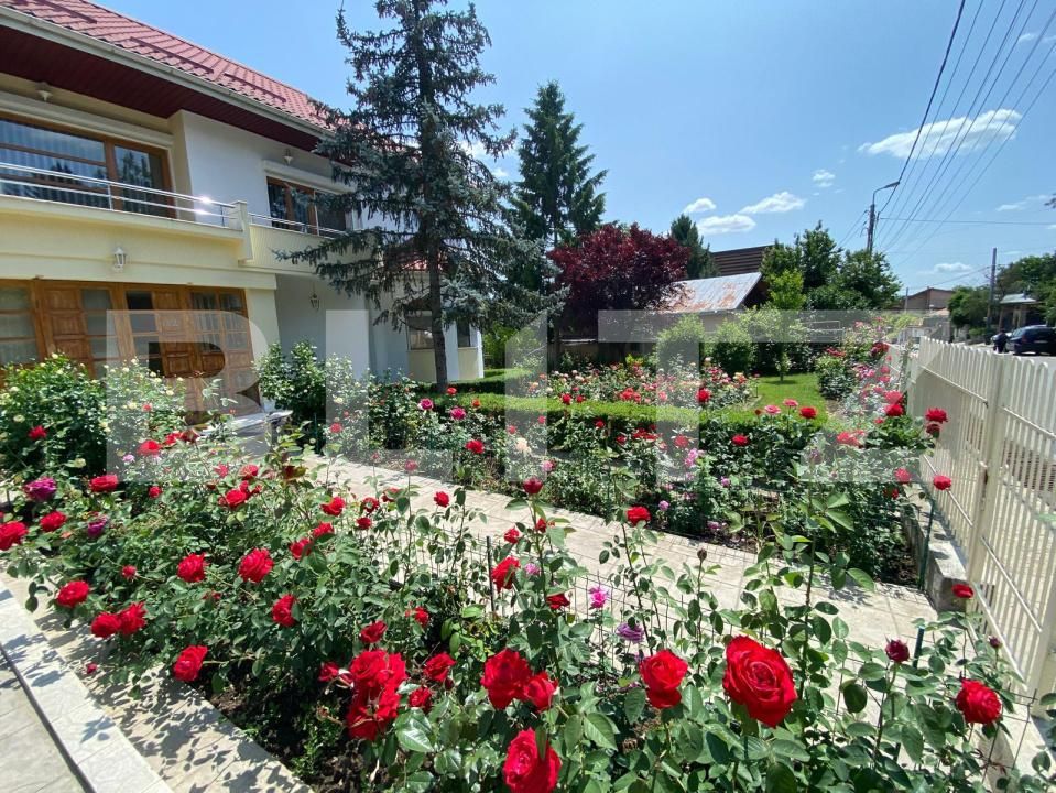 Casa de vânzare 9 camere Bucium - 172248CV | BLITZ Iași | Poza9