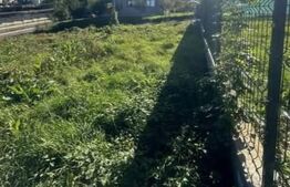 Teren 400 mp intravilan, strada principala, 2 deschideri, Tomesti