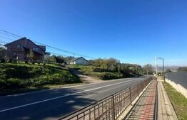 Teren de vânzare Tomesti - 146193TV | BLITZ Iași | Poza2