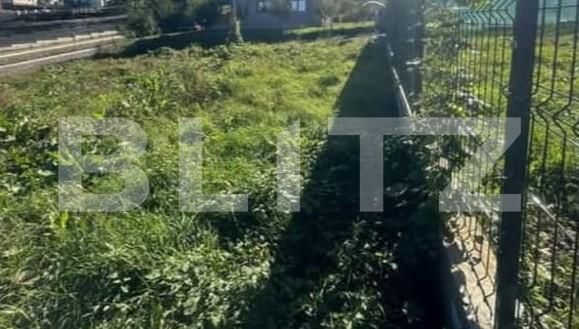 Teren de vânzare Tomesti - 173104TV | BLITZ Iași | Poza2