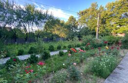 Casă solidă de vânzare 120mp, 1840mp teren la strada principala Paun