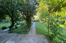 Casă solidă de vânzare 120mp, 1840mp teren la strada principala Paun