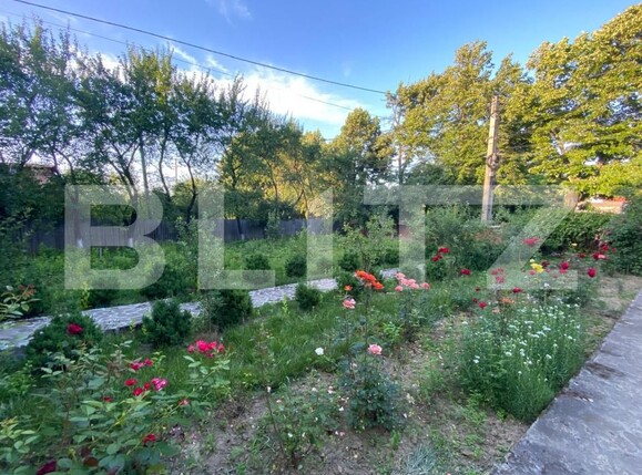 Casa de vânzare 3 camere Paun - 173217CV | BLITZ Iași | Poza3