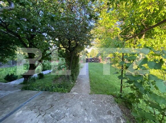 Casa de vânzare 3 camere Paun - 173217CV | BLITZ Iași | Poza2