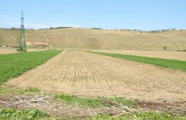 Teren extravilan, de vanzare, 5000 mp, zona Codaesti cu acces la DN24