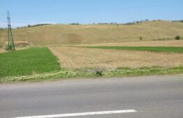 Teren extravilan, de vanzare, 5000 mp, zona Codaesti cu acces la DN24