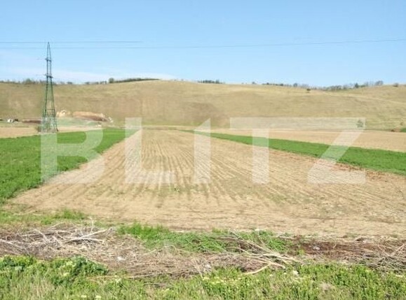 Teren de vânzare Exterior Sud - 173258TV | BLITZ Iași | Poza1