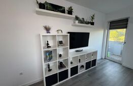 Apartament de 2 camere, decomandat, intabulat, etaj intermediar, zona Tatarasi