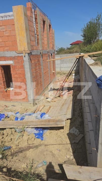 Casa de vânzare 4 camere Visan - 173581CV | BLITZ Iași | Poza4