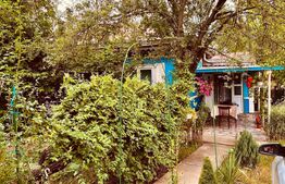 casa batraneasca de vanzare, cu anexe, 2900 mp teren, zona Pausesti