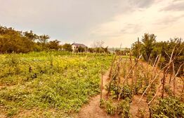 casa batraneasca de vanzare, cu anexe, 2900 mp teren, zona Pausesti