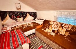 casa batraneasca de vanzare, cu anexe, 2900 mp teren, zona Pausesti