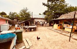 casa batraneasca de vanzare, cu anexe, 2900 mp teren, zona Pausesti