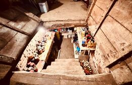 casa batraneasca de vanzare, cu anexe, 2900 mp teren, zona Pausesti