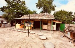 casa batraneasca de vanzare, cu anexe, 2900 mp teren, zona Pausesti