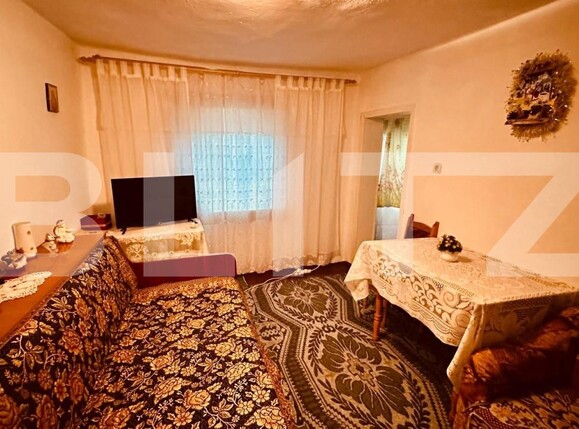 Casa de vânzare 4 camere Exterior Vest - 173589CV | BLITZ Iași | Poza10