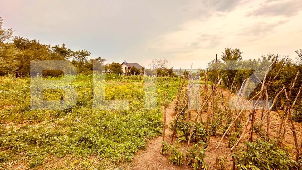 Casa de vânzare 4 camere Exterior Vest - 173589CV | BLITZ Iași | Poza13