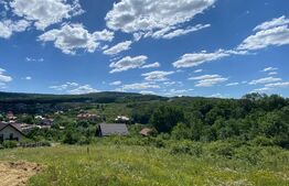 Casă individuala, 390mp teren, Barnova - foarte aproape de Iasi