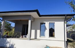 Casa plan parter 3 camere, 550 mp teren, Ciurbesti 