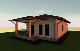 Casa plan parter 3 camere, 550 mp teren, Ciurbesti 