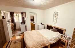 Casa mare 8 camere si 700 mp teren in Miroslava langa Family Market