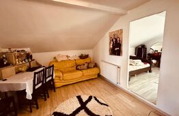 Casa mare 8 camere si 700 mp teren in Miroslava langa Family Market