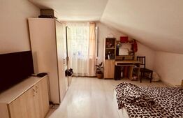 Casa mare 8 camere si 700 mp teren in Miroslava langa Family Market