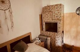 Casa mare 8 camere si 700 mp teren in Miroslava langa Family Market