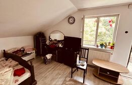 Casa mare 8 camere si 700 mp teren in Miroslava langa Family Market
