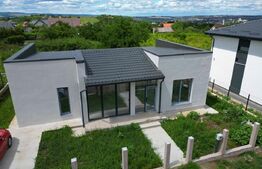 Casa deosebita plan parter cu 4 camere in Visani