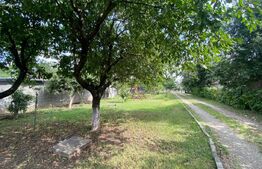 Casă spațioasă cu teren generos de 1910mp Valea Ursului Iasi