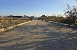 Casa 4 camere, 110mp, Valea Lupului la strada asfaltata