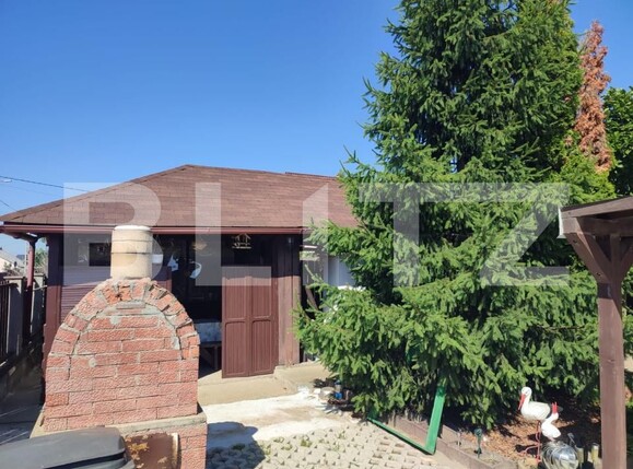 Casa de vânzare 6 camere Dancu - 174741CV | BLITZ Iași | Poza6