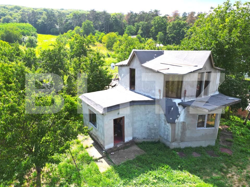 Casa de vânzare 4 camere Exterior Sud - 174851CV | BLITZ Iași | Poza3