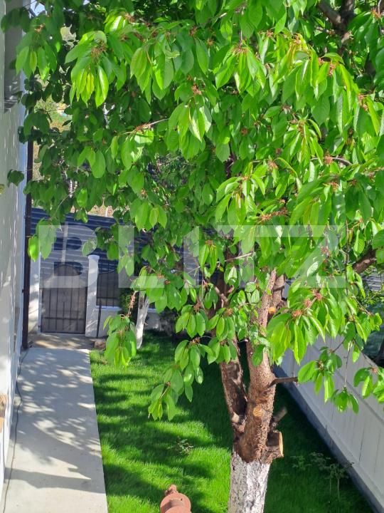 Apartament de vânzare 3 camere Cug - 174958AV | BLITZ Iași | Poza12