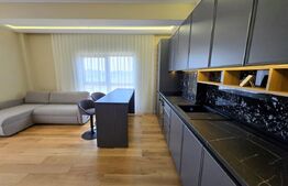 Apartament de 2 camere, mobilat si utilat, platou Galata