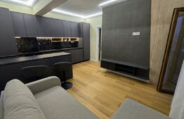 Apartament de 2 camere, mobilat si utilat, platou Galata