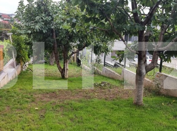 Casa de vânzare 3 camere Bucium - 175186CV | BLITZ Iași | Poza18