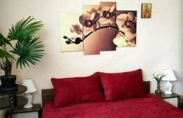 Apartament cu 2 camere Central - Tutora
