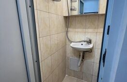 Apartament 1 camera Ultracentral - Teatrul National