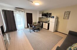 Apartament de închiriat, cu 2 camere, zona Palas  