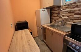 Ultracentral - Apartament 1 camera 40 m2 - Piata Unirii