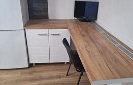 Studio de închiriat, etaj 1, aproape de Universitatea Cuza și UMF