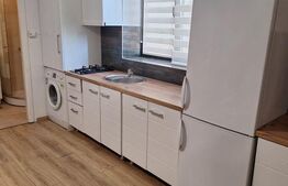 Studio de închiriat, etaj 1, aproape de Universitatea Cuza și UMF