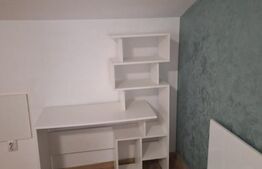 Studio de închiriat, etaj 1, aproape de Universitatea Cuza și UMF